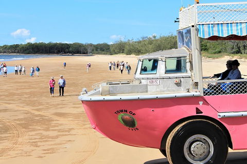 1770 Coastline Tour By LARC Amphibious Vehicle Including Picnic Lunch - Hotel Accommodation 0
