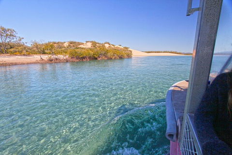 1770 Coastline Tour By LARC Amphibious Vehicle Including Picnic Lunch - Hotel Accommodation 5