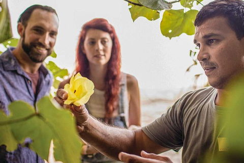 Ngana Julaymba Dungay - Full Day - Hotel Accommodation 4