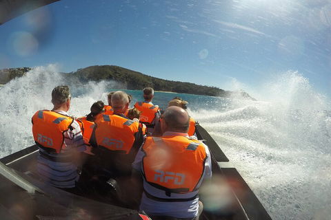 Noosa Thriller - 500hp Ocean Adventure Ride - Hotel Accommodation 3