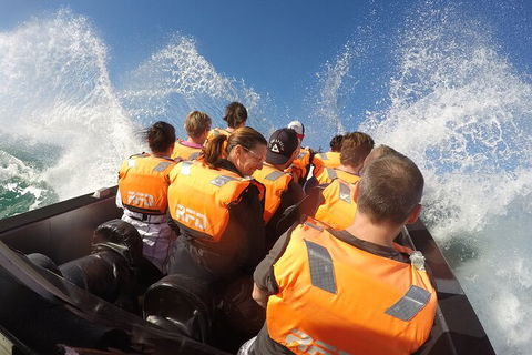 Noosa Thriller - 500hp Ocean Adventure Ride - Hotel Accommodation 4