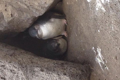 Food Tour Melbourne - St Kilda - Hotel Accommodation 3