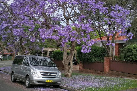 Sydney Secrets & Bondi Beach Private 4 Hr Morning With Personalised Sydney Tours - Hotel Accommodation 0