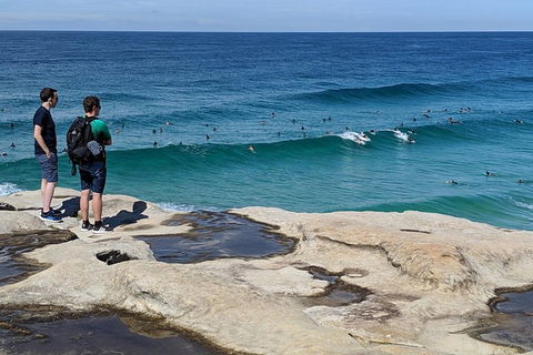 Sydney Secrets & Bondi Beach Private 4 Hr Morning With Personalised Sydney Tours - Hotel Accommodation 2