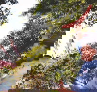 illi-Langi The Rocks Aboriginal Dreaming Tour - Hotel Accommodation