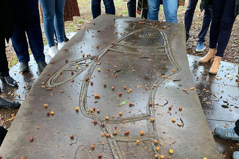 Illi-Langi The Rocks Aboriginal Dreaming Tour - Hotel Accommodation 4