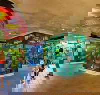 Skyrail  Kuranda Train Day Trip from Cairns - Hotel Accommodation