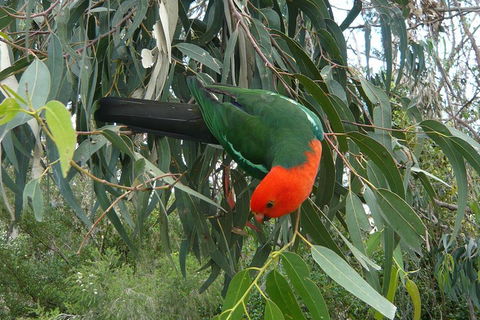 3-Day Private Adelaide To Melbourne Tour - Hotel Accommodation 0