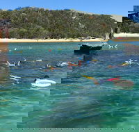 All Inclusive Dolphin and Tangalooma Wrecks Cruise - Hotel Accommodation