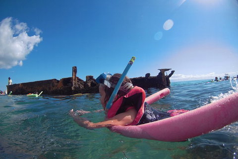 All Inclusive Dolphin And Tangalooma Wrecks Cruise - Hotel Accommodation 2
