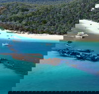 All Inclusive Tangalooma Wrecks Cruise Tour From Gold Coast - Hotel Accommodation