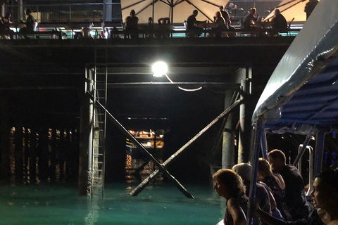 Darwin Sunset Cruise Including Fish 'n' Chips - Hotel Accommodation 0