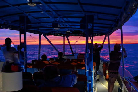 Darwin Sunset Cruise Including Fish 'n' Chips - Hotel Accommodation 1