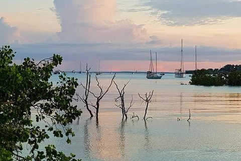 Tropical Light Sundowner Cruise With Drinks Included - Hotel Accommodation 2