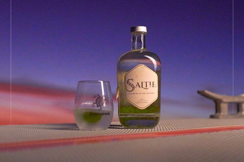 Tropical Light Sundowner Cruise With Drinks Included - Hotel Accommodation 3