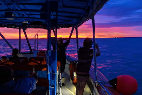 Tropical Light Sundowner Cruise With Drinks Included - Hotel Accommodation 5
