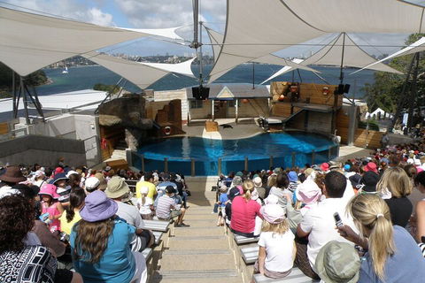 Sydney Taronga Zoo General Entry Ticket - Hotel Accommodation 5