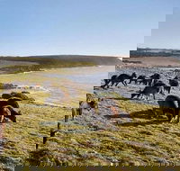 Kangaroo Island Personal Group Tours - Hotel Accommodation