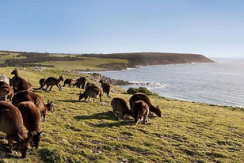 Kangaroo Island Personal Group Tours - Hotel Accommodation 0