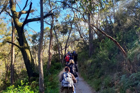 Self-Guided Waterfall Gully To Mount Lofty Hike From Adelaide - Hotel Accommodation 1