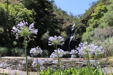 Self-Guided Waterfall Gully To Mount Lofty Hike From Adelaide - Hotel Accommodation 3