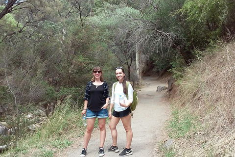 Self-Guided Waterfall Gully To Mount Lofty Hike From Adelaide - Hotel Accommodation 4