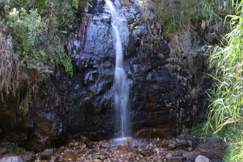 Self-Guided Waterfall Gully To Mount Lofty Hike From Adelaide - Hotel Accommodation 5
