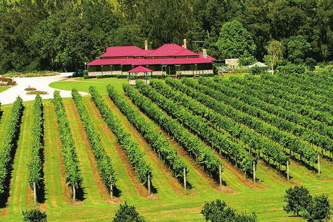 O'Reilly's & Lamington National Park From Brisbane - Hotel Accommodation 2