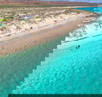 Ningaloo in a Day - Full Day Hike and Snorkel Tour with Lunch - Hotel Accommodation