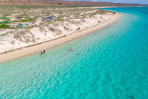 Ningaloo In A Day - Full Day Hike And Snorkel Tour With Lunch - Hotel Accommodation 0