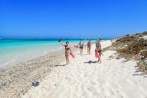 Ningaloo In A Day - Full Day Hike And Snorkel Tour With Lunch - Hotel Accommodation 1