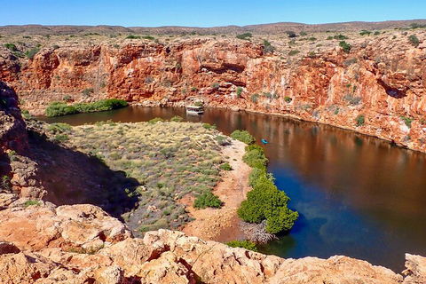 Ningaloo In A Day - Full Day Hike And Snorkel Tour With Lunch - Hotel Accommodation 2