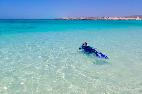 Ningaloo In A Day - Full Day Hike And Snorkel Tour With Lunch - Hotel Accommodation 4