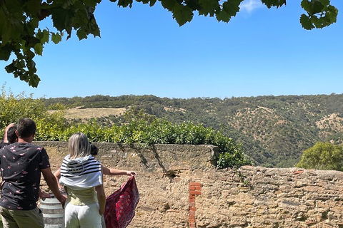 Private Mclaren Vale Wine Tour - Hotel Accommodation 2