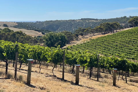 Private Mclaren Vale Wine Tour - Hotel Accommodation 3