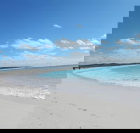 Shipwreck Special Nature Tour/Half Day Tour - Hotel Accommodation