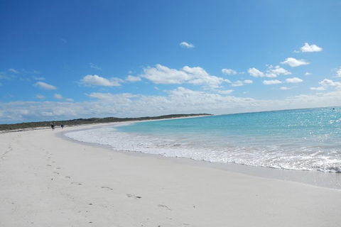 Shipwreck Special Nature Tour/Half Day Tour - Hotel Accommodation 0