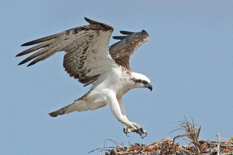 Shipwreck Special Nature Tour/Half Day Tour - Hotel Accommodation 4