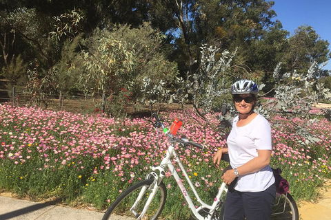 Perth Bike Tour - Beautiful Matilda Bay And Kings Park - Hotel Accommodation 1