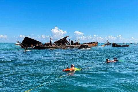 Best Of Moreton Bay Cruise - Hotel Accommodation 5