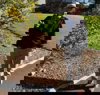 Private City Walking Tour - Hotel Accommodation