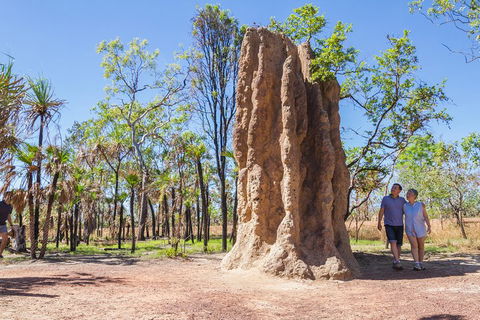 Litchfield National Park Day Tour From Darwin - Hotel Accommodation 2