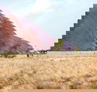 Uluru Sunrise and Guided Base Walk - Hotel Accommodation