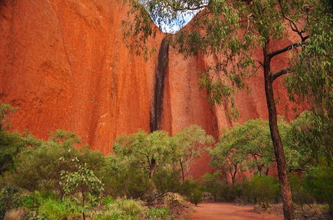 Uluru Sunrise And Guided Base Walk - Hotel Accommodation 3