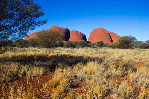 Kata Tjuta Sunrise And Valley Of The Winds Half-Day Trip - Hotel Accommodation 1