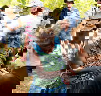 Tiwi Islands Cultural Experience from Darwin Including Ferry - Hotel Accommodation