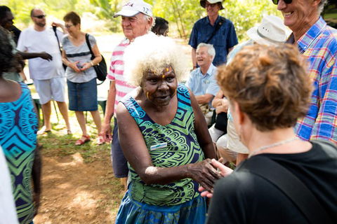 Tiwi Islands Cultural Experience From Darwin Including Ferry - Hotel Accommodation 0