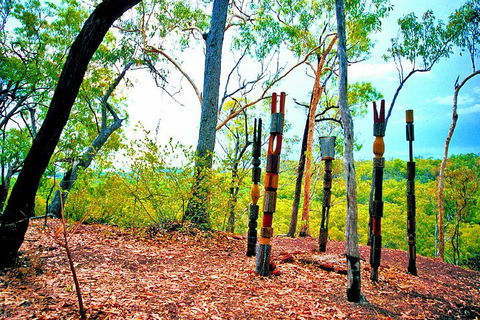 Tiwi Islands Cultural Experience From Darwin Including Ferry - Hotel Accommodation 3