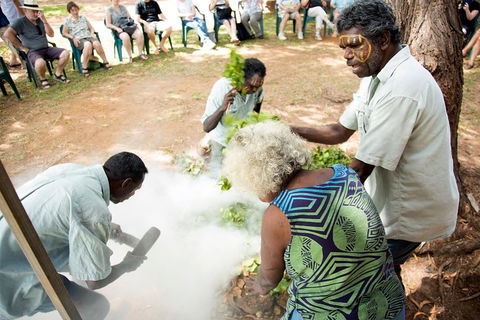 Tiwi Islands Cultural Experience From Darwin Including Ferry - Hotel Accommodation 4