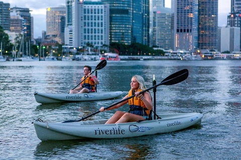 Brisbane Kayak Tour - Hotel Accommodation 3